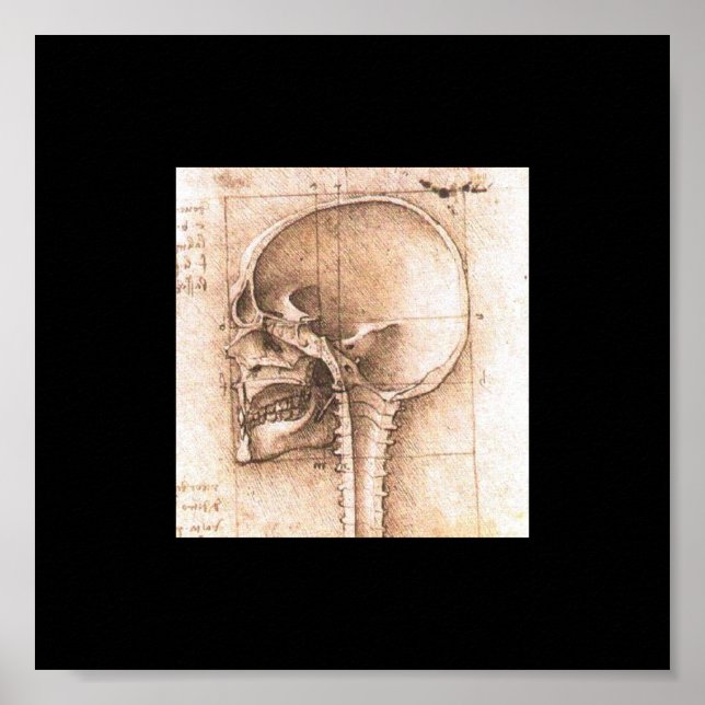 Visa en skull av Leonardo Da Vinci c. 1489 Poster (Framsidan)