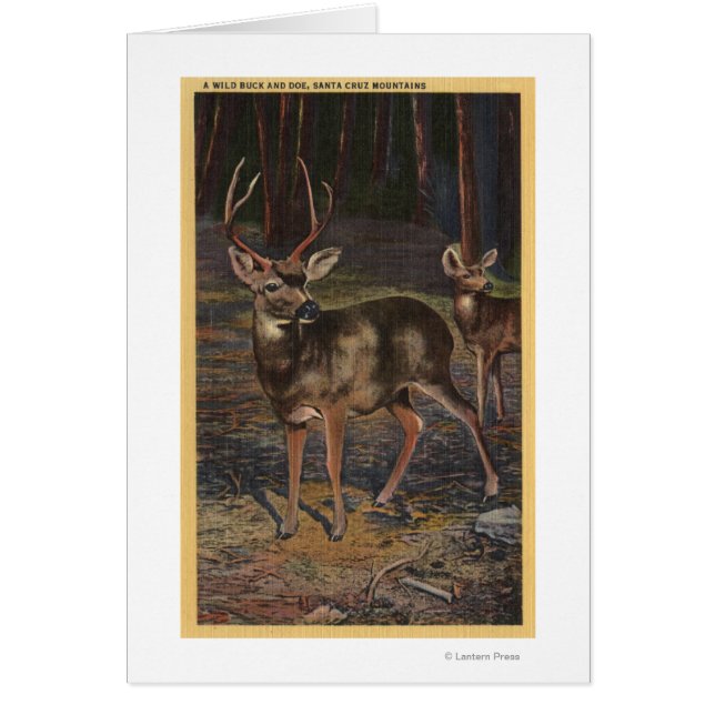 Visa en Vild Buck & Doe Hälsningskort (Framsidan)