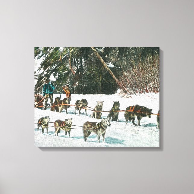 Visa ett Husky Hund-Sled-team Canvastryck (Framsida)