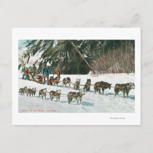 Visa ett Husky Hund-Sled-team Vykort