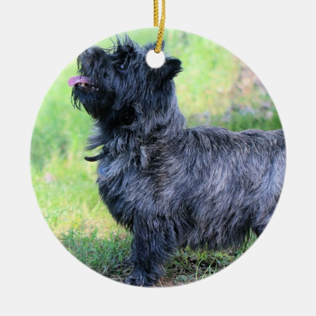 Visa flicka julgransprydnad keramik (Framsidan)