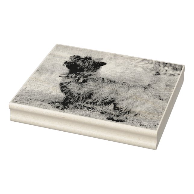 Visa flicka stämpel (Stämpel)