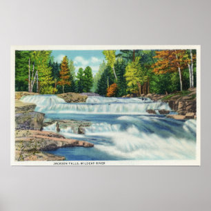 Visa floden Vild katt och Jackson Falls Poster