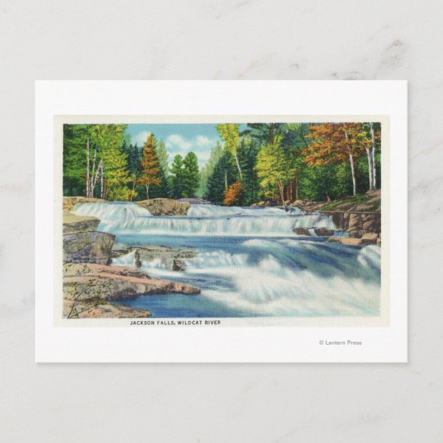 Visa floden Vild katt och Jackson Falls Vykort (Framsida)