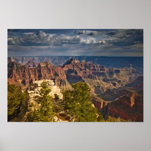 Visa från besökscentret North Rim - Grand Rim Poster (Framsidan)