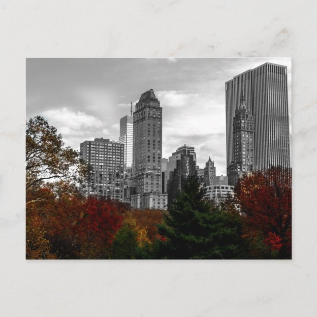 Visa från Central Park i New York City Vykort (Framsida)