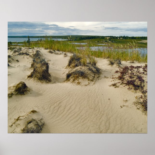 Visa från en sanddyna i sjöar och backe på poster (Framsidan)
