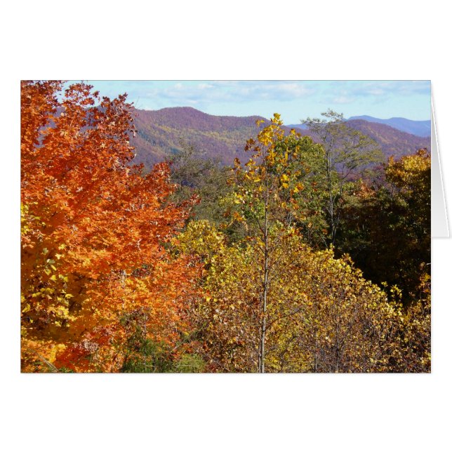 Visa från Franklin Mountain OBS Kort (Framsidan Horizontal)