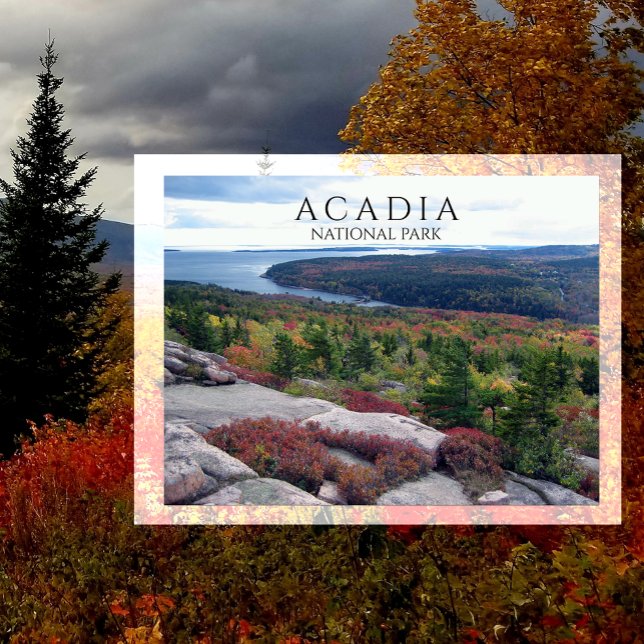 Visa från Gorham Mountain Acadia National Park, ME Vykort (Skapare uppladdad)