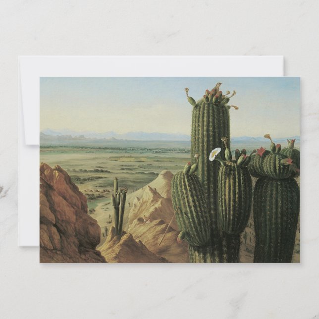 Visa från Maricopa-berget nära Rio Gila från Pratt (Framsida)