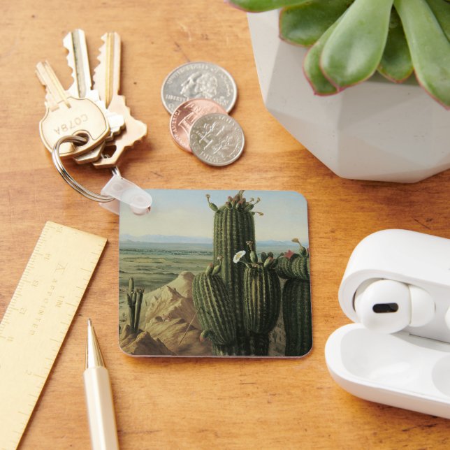 Visa från Maricopa-berget nära Rio Gila från Pratt Nyckelring (Skrivbord)