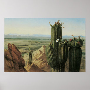Visa från Maricopa-berget nära Rio Gila från Pratt Poster