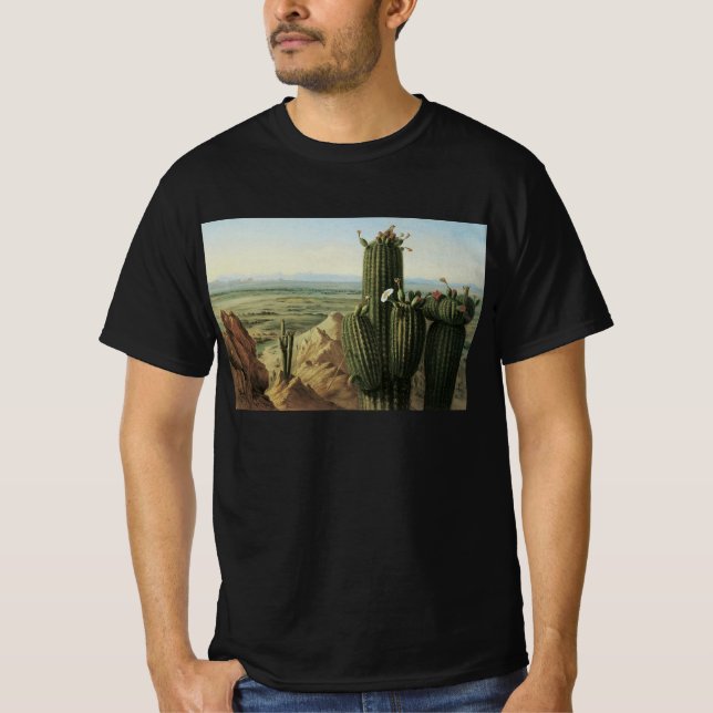 Visa från Maricopa-berget nära Rio Gila från Pratt Tee Shirt (Framsida)