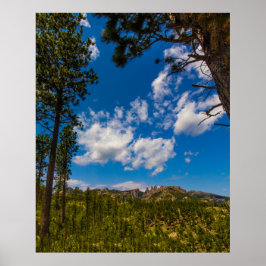 Visa från Nål Highway, South Dakota Poster