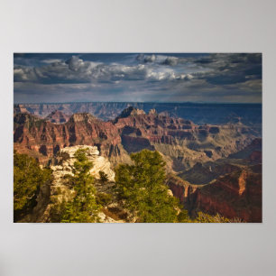Visa från North Rim Besökscenter - Grand Poster