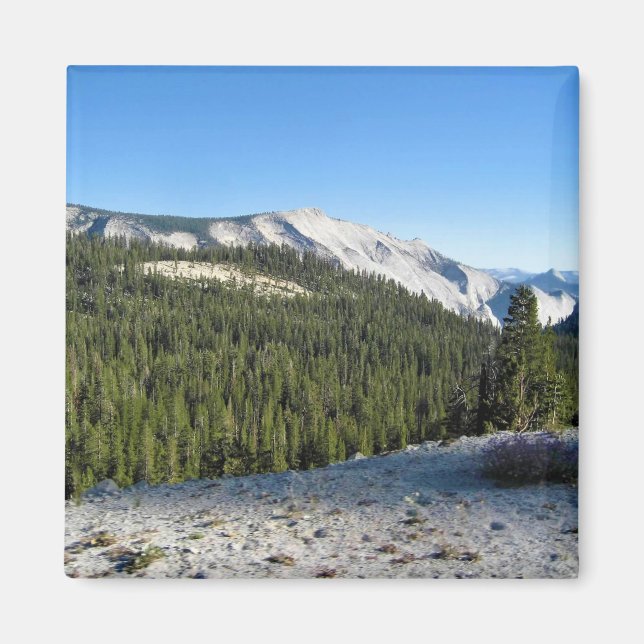 Visa från Olmstead Point, Yosemite, CA Magnet (Framsidan)