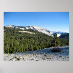Visa från Olmstead Point, Yosemite, CA Poster