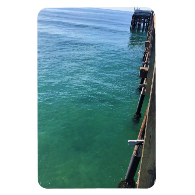 Visa från Pier, Newport Beach, Kalifornien Magnet (Vertikal)