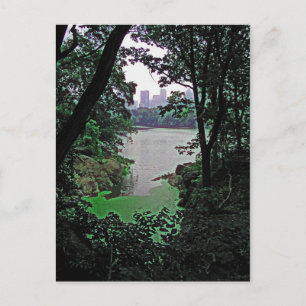 Visa från Ramble-Central Park Colorized Postcard Vykort