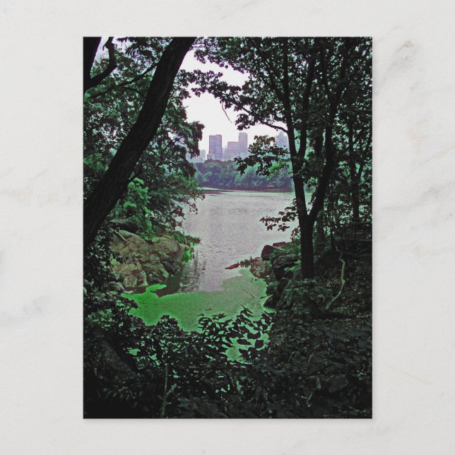 Visa från Ramble-Central Park Colorized Postcard Vykort (Framsida)