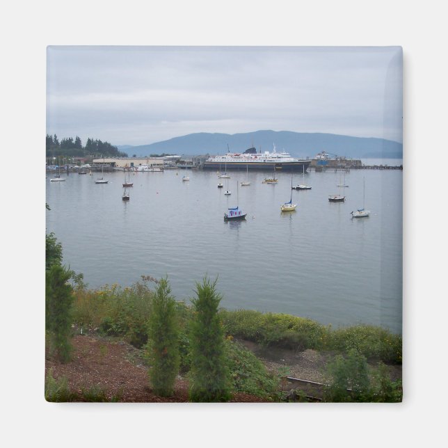 Visa från Taylor Street Dock Magnet (Framsidan)