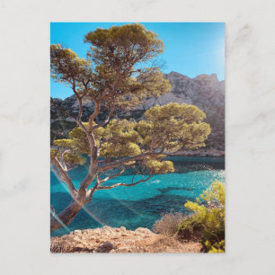 Visa Fransk Riviera i Marseill Frankrike Postcard Vykort