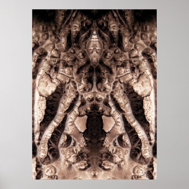 Visa freak poster (Framsidan)