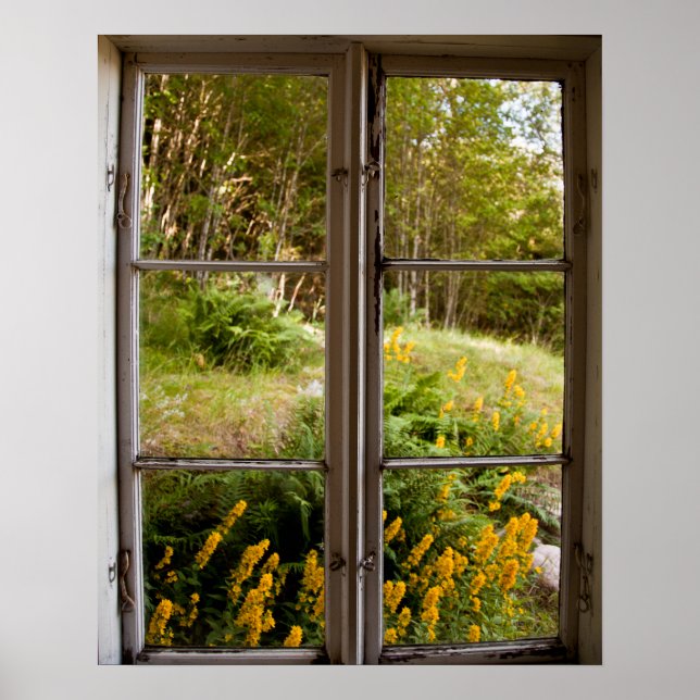 Visa genom det gamla fönstret poster (Framsidan)