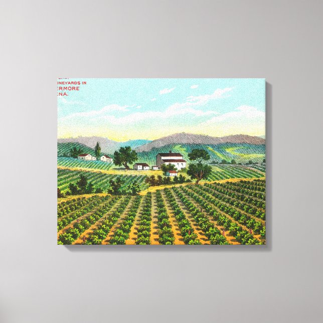 Visa Giersberg Vineyard Napa, CA Canvastryck (Framsida)