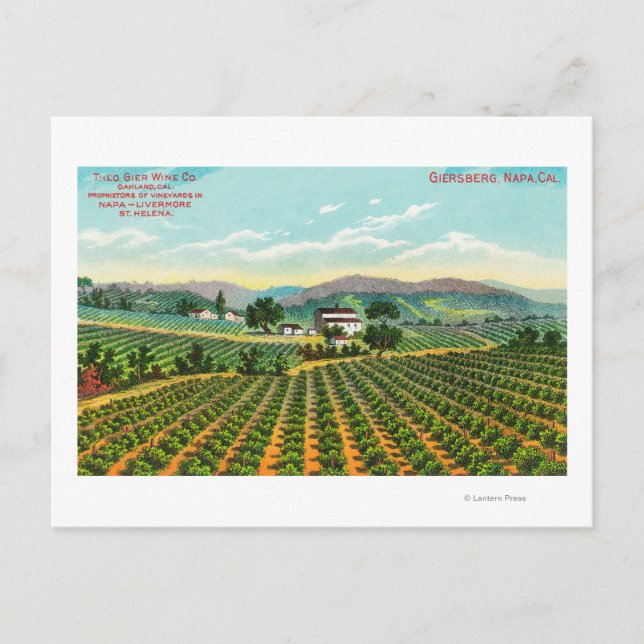 Visa Giersberg Vineyard Napa, CA Vykort (Framsida)