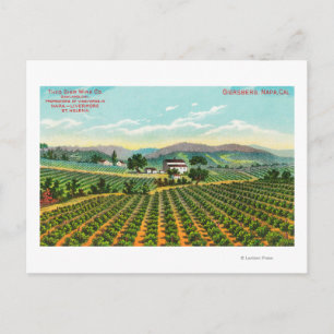 Visa Giersberg Vineyard Napa, CA Vykort