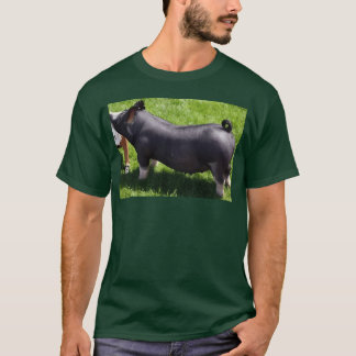 visa gris vänner t shirt