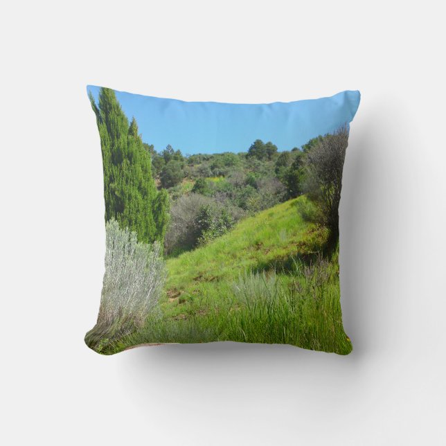 Visa Grönt Pillow Kudde (Framsida)