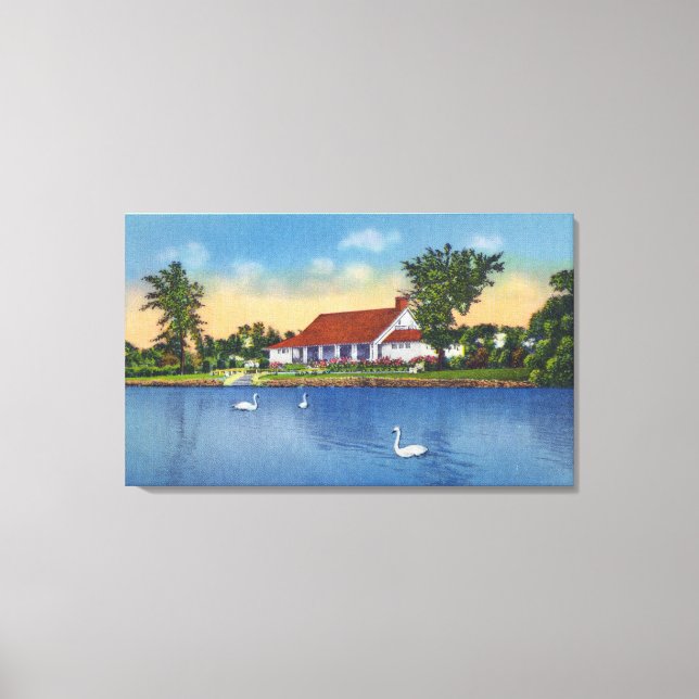 Visa Hoopes Park Svanar på Sjö Canvastryck (Framsida)