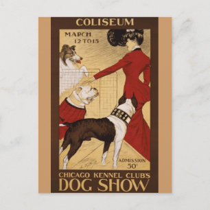 Visa Hund vintage Vykort