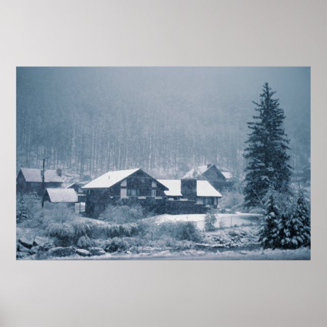 Visa i Aspen-utskrifter Poster (Framsidan)