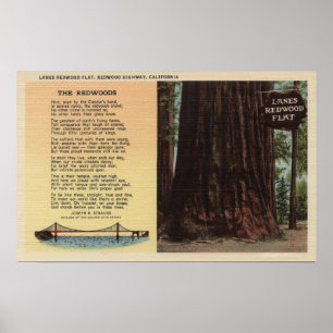 Visa Lanes Redwood Flat Poster