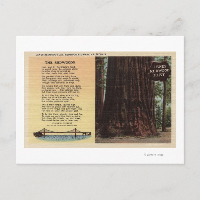 Visa Lanes Redwood Flat Vykort (Framsida)