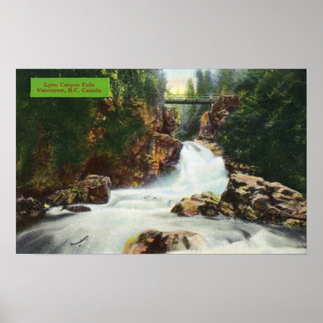 Visa Lynn Canyon Falls Poster (Framsidan)