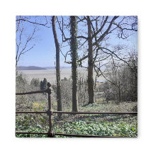 Visa magnet för Morecambe Bay