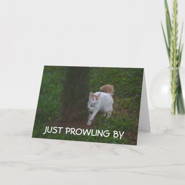 VISA MED BIRTHDAY HI åt DIG. Kort (Framsida)