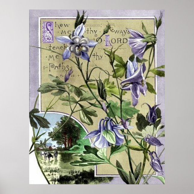 Visa mig hur poster (Framsidan)