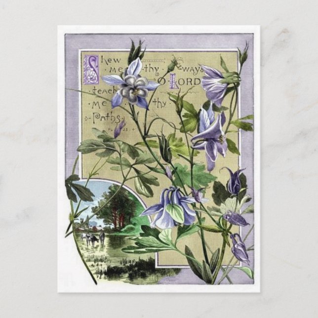 Visa mig hur vykort (Framsida)