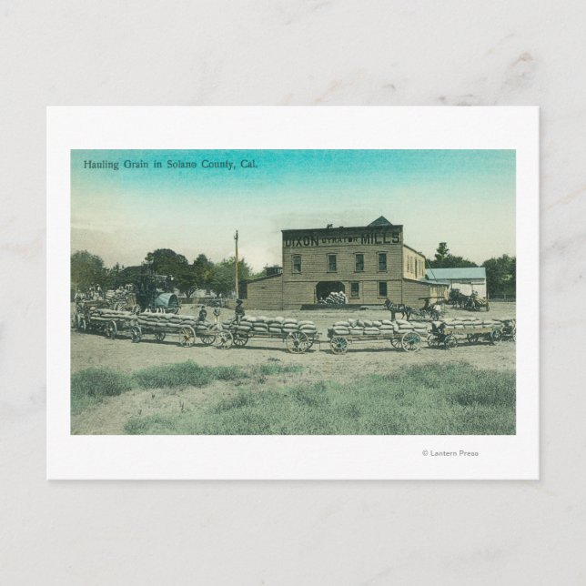 Visa Millers Hauling Grain till Mill Vykort (Framsida)