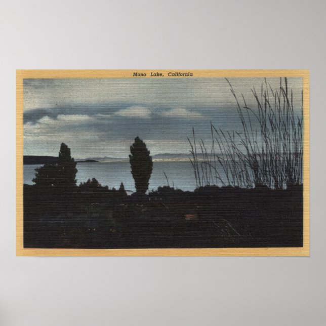 Visa Mono Sjö Poster (Framsidan)