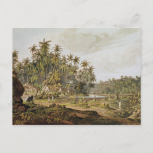Visa nära Point du Galle, Ceylon Vykort