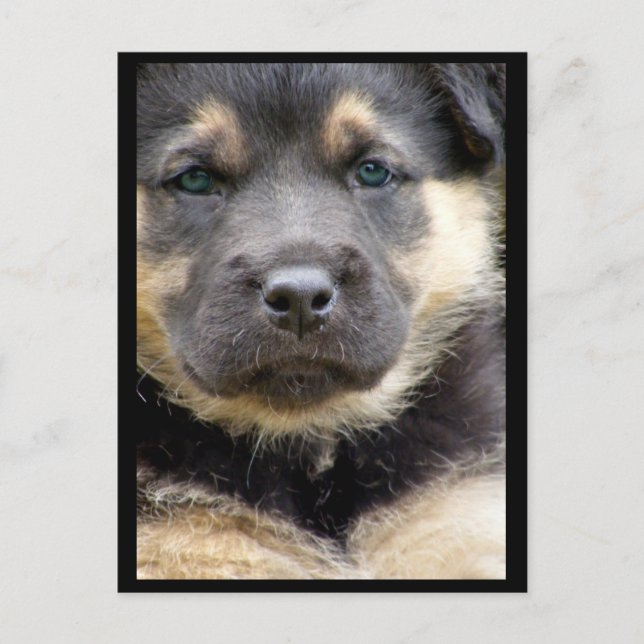 Visa ögon vykort (Framsida)