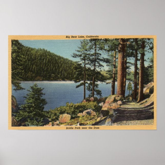 Visa över Bridle Väg nära dammen Poster (Framsidan)