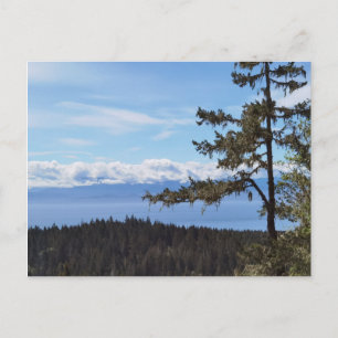 Visa över träd från Öster Sooke, BC, Kanada Vykort