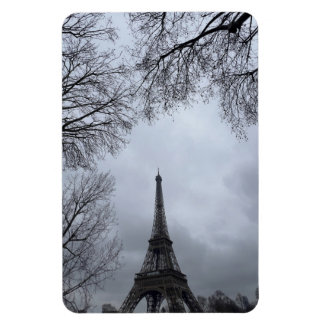 Visa på Eiffel Torn, Paris, Frankrike Magnet